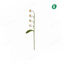 Handmade Crochet Lily of the Valley Cat Teaser Wand – White