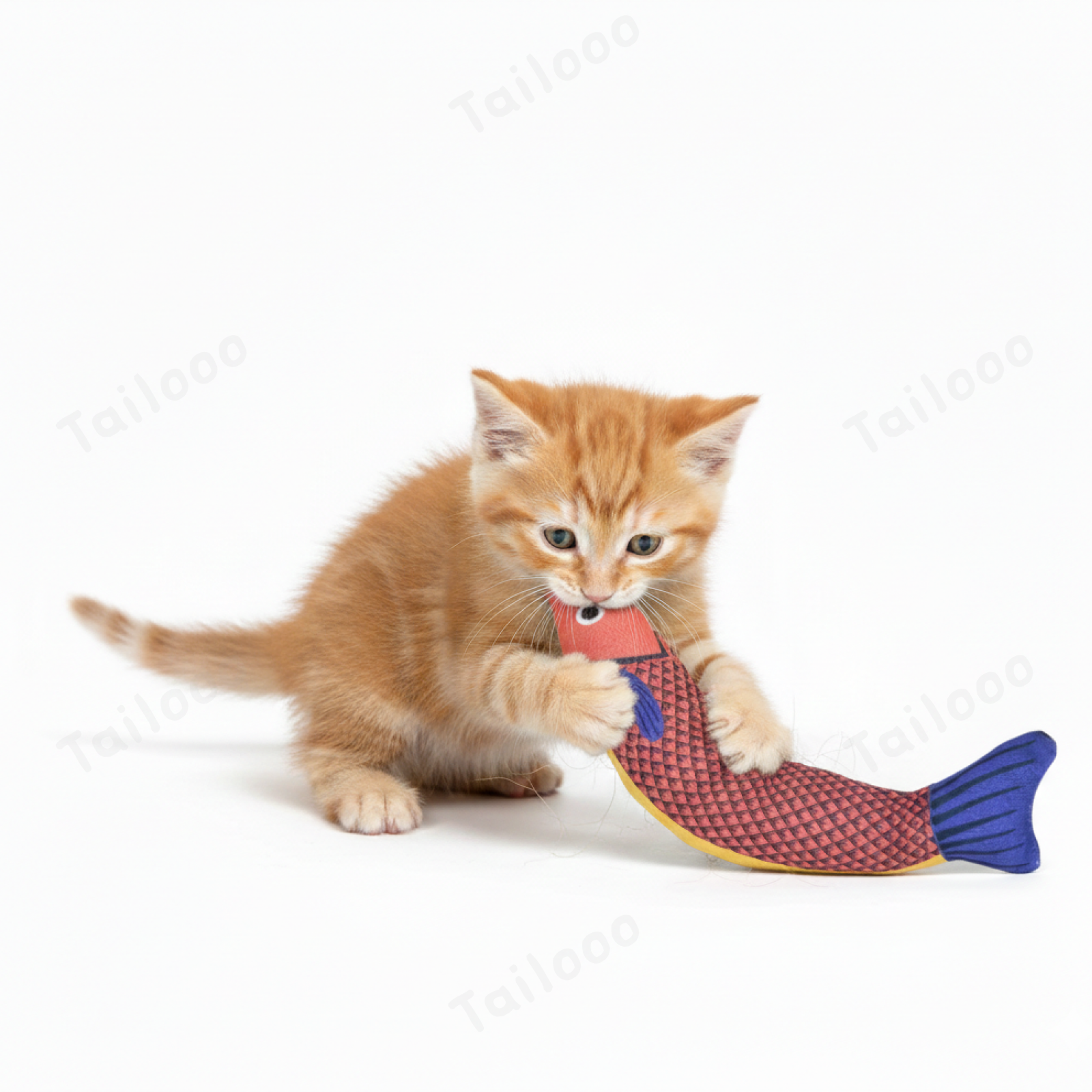 Red fish-Interactive Catnip Fish Kicker Toy – Durable Teething Cat Kicker Toy