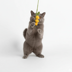 Handmade Crochet Lily of the Valley Cat Teaser Wand – Yellow