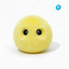 Yellow Glowing Squeaky Cat Ball Tailooo
