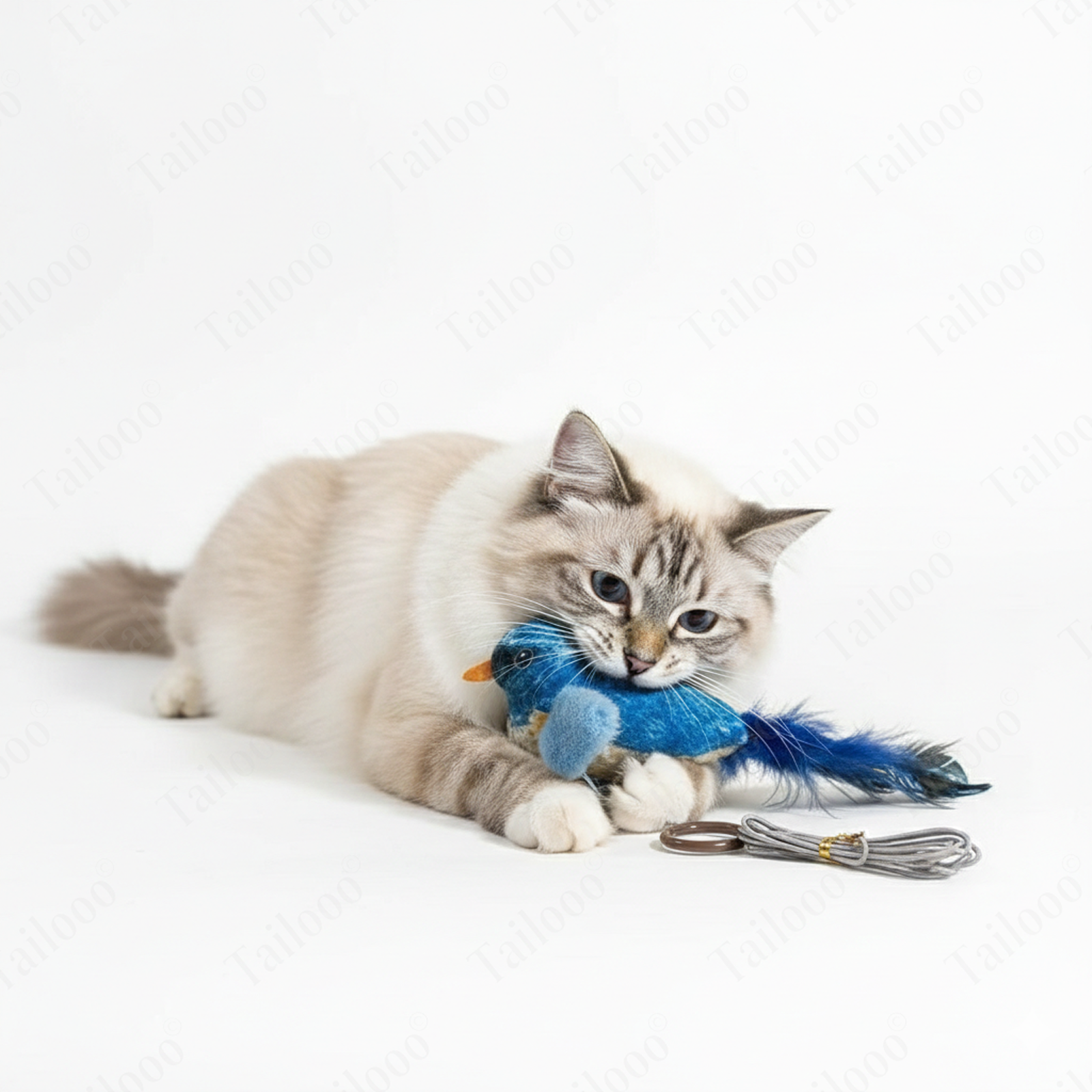 Self-Play Bird Teaser Wand Cat Toy – Blue Robin