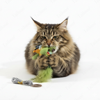 Self-Play Bird Teaser Wand Cat Toy – Green Willow Oriole