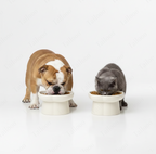 Ceramic Slow Feeder Pet Bowl – White