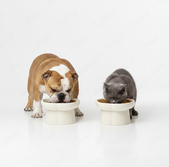Ceramic Slow Feeder Pet Bowl – White Main Image