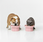 Ceramic Slow Feeder Pet Bowl – Pink