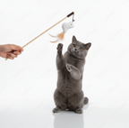 Interactive Cat Teaser Wand Toy – Bird Toy