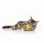 Eco-Friendly Natural Loofah Cat Toy – Chicken Leg