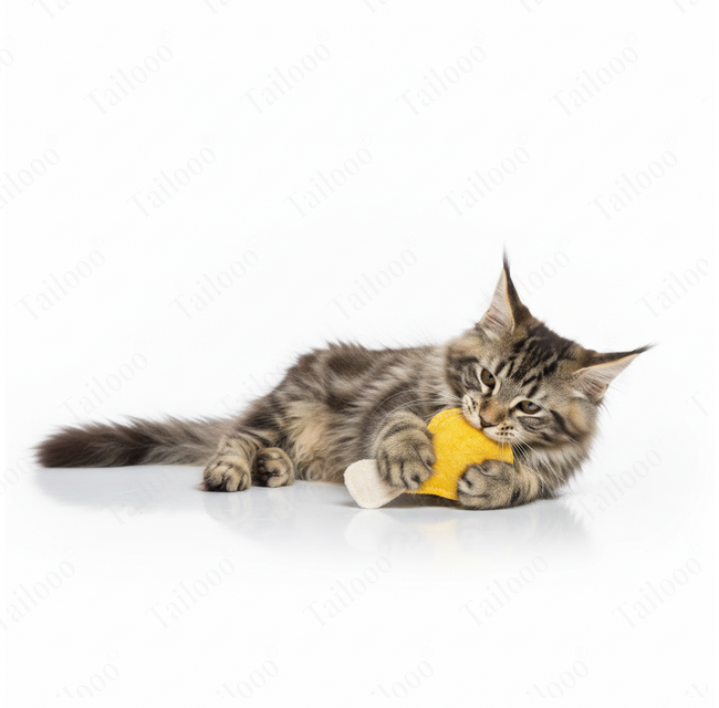 Eco-Friendly Natural Loofah Cat Toy – Chicken Leg Main Image