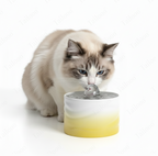 Automatic Ceramic Pet Water Fountain for Cat & Dog（Yellow）