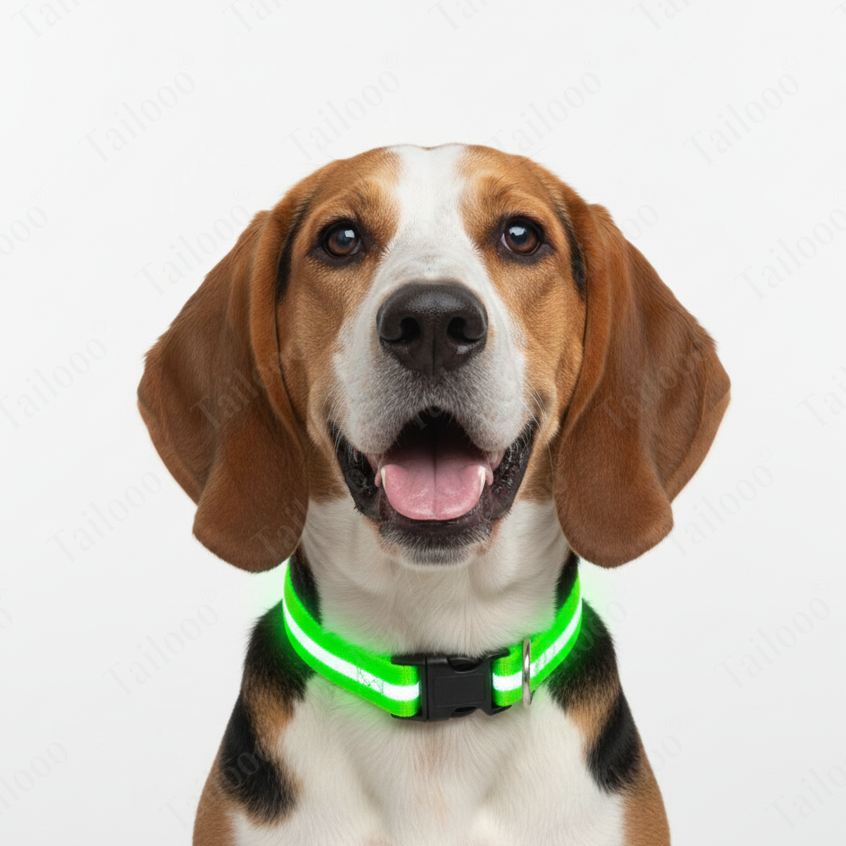 LED Glowing Dog Collar – USB Rechargeable Light-Up Pet Collar for Night Safety（Green）