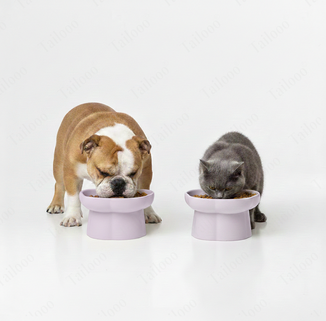 Ceramic Slow Feeder Pet Bowl – Purple Main Image
