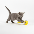 Interactive Electric Rolling Cat Ball – Yellow
