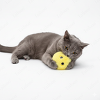 Yellow Glowing Squeaky Cat Ball Tailooo