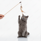 Interactive Cat Teaser Wand Toy – Jute Rope