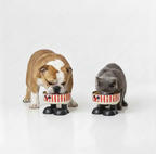 Cartoon Elevated Pet Bowl – White & Red
