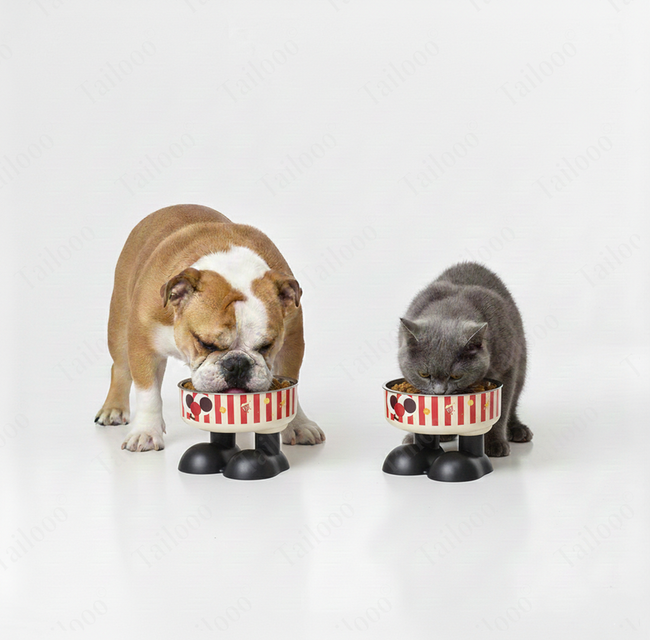 Cartoon Elevated Pet Bowl – White & Red Main Image