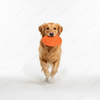 Soft Durable Frisbee Dog Toy – Orange