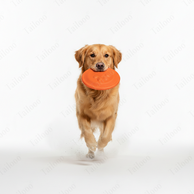 Soft Durable Frisbee Dog Toy – Orange Main Image