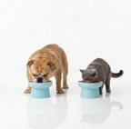 Ceramic Slow Feeder Pet Bowl – Blue