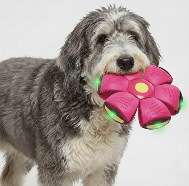 LED UFO Dog Toy Disc – Pink Main Image
