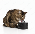 Automatic Ceramic Pet Water Fountain – Black