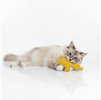 Eco-Friendly Natural Loofah Cat Toy – Roast Duck