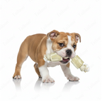 Natural Coffee Wood Rope Knot Chew Dog Toy（Double-Knot Rope）