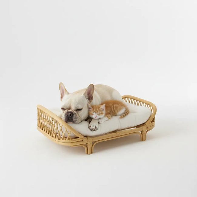 Handmade Rattan Eco-Friendly Wicker Cat & Dog Sofa with Cushion Main Image