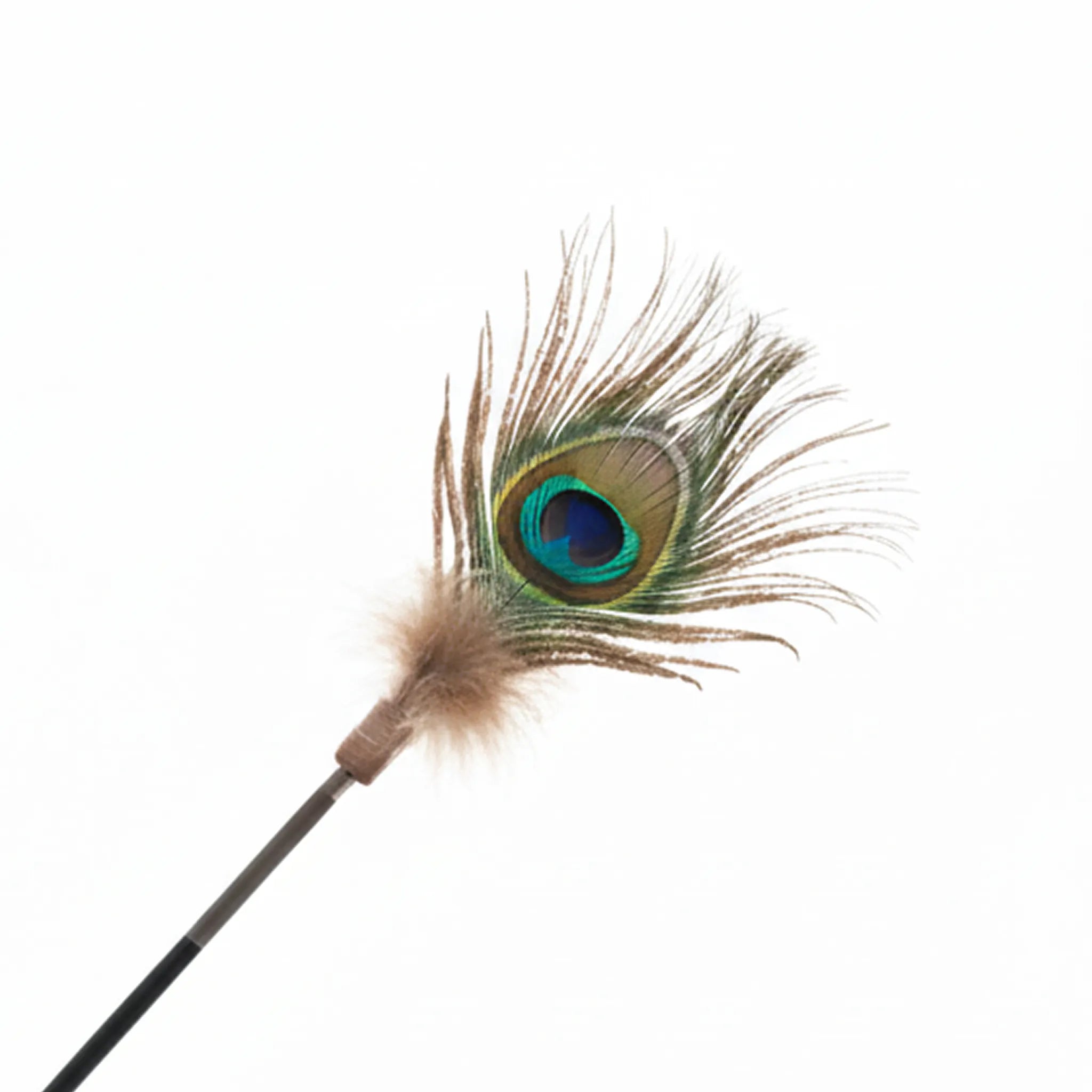 Peacock Feather Cat Teaser Wand – Interactive Natural Feather Toy with Wooden Handle for Indoor Cats & Kittens