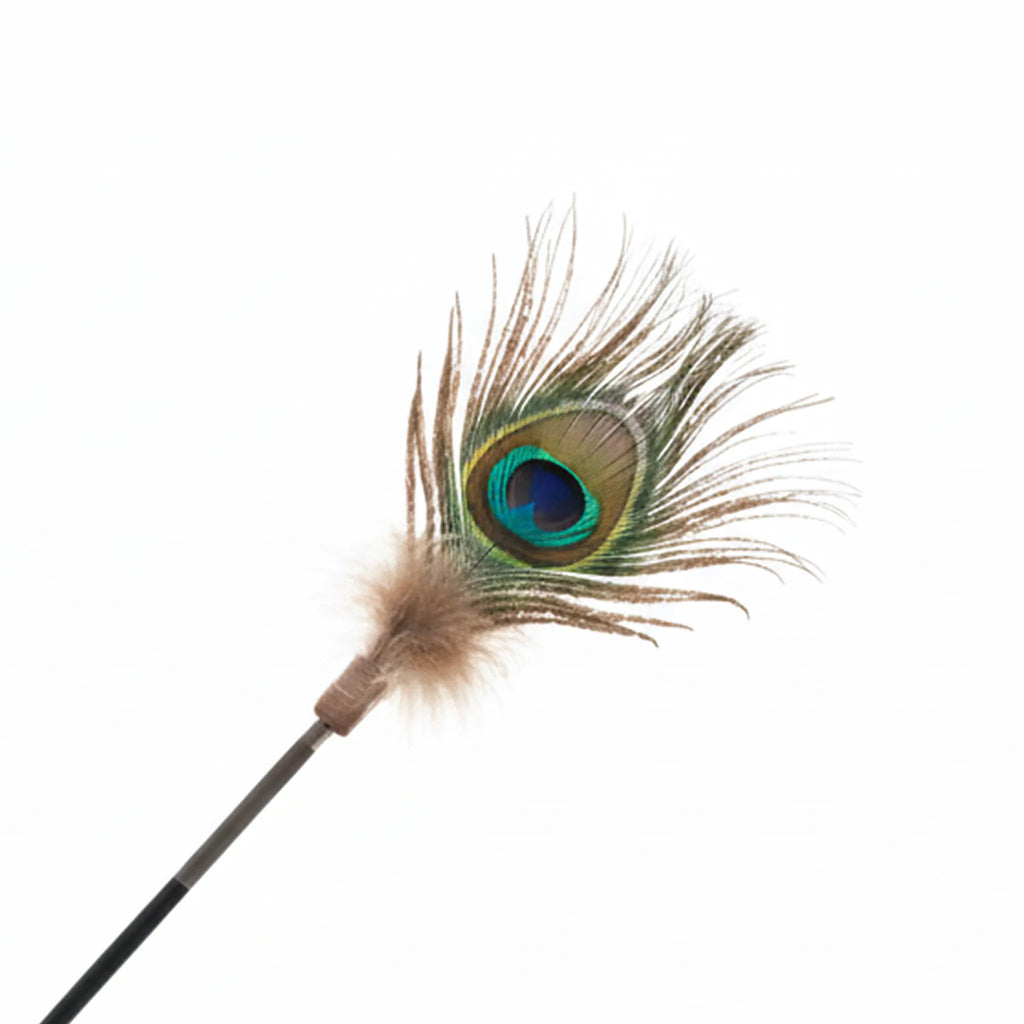 Peacock Feather Cat Teaser Wand