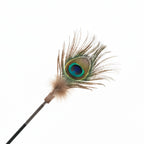 Peacock Feather Cat Teaser Wand