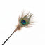 Peacock Feather Cat Teaser Wand