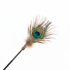 Peacock Feather Cat Teaser Wand – Interactive Natural Feather Toy with Wooden Handle for Indoor Cats & Kittens