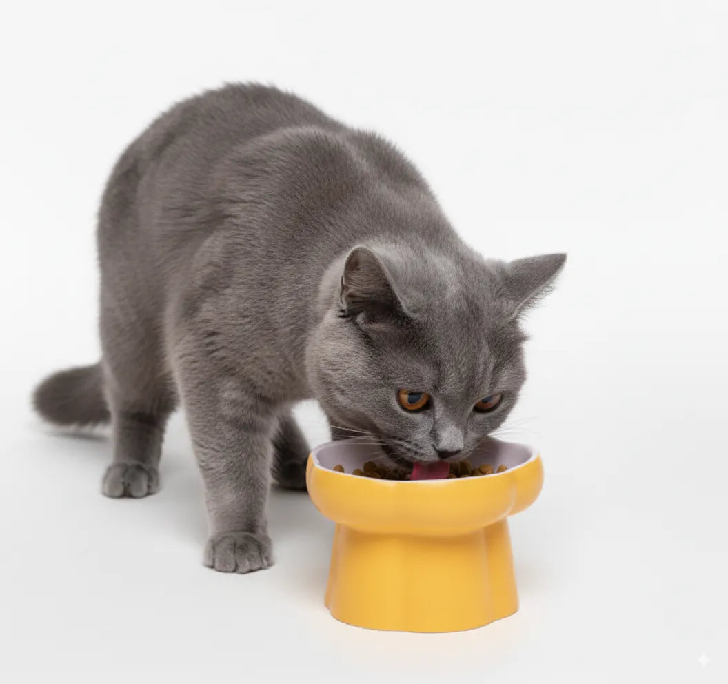 Ceramic Slow Feeder Pet Bowl – Elevated Anti-Gulping Food Dish for Cats, Dogs, Puppies & Kittens, Non-Toxic & Easy to Clean