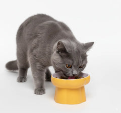 Ceramic Slow Feeder Pet Bowl – Elevated Anti-Gulping Food Dish for Cats, Dogs, Puppies & Kittens, Non-Toxic & Easy to Clean