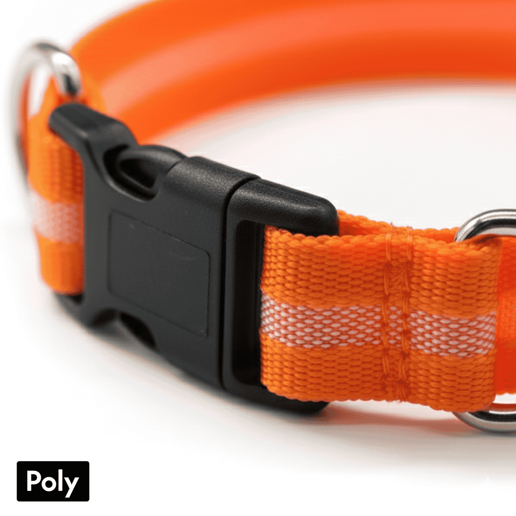 LED Glowing Dog Collar – USB Rechargeable Light-Up Pet Collar for Night Safety（Orange）