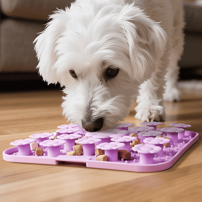 Flower-shaped silicone dog sniffing bowl Main Image