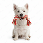 Corn — Handmade  Cotton Rope Eco Chew Dog Toys