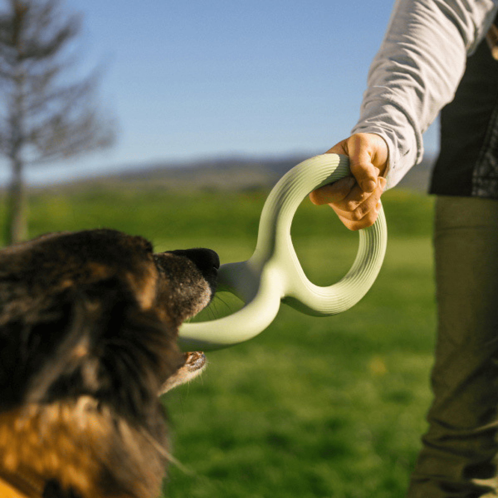 Natural Rubber Pull Ring Durable Chew Dog Toy