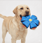 746ebf83-b543-4391-a14d-e7a8768a095f