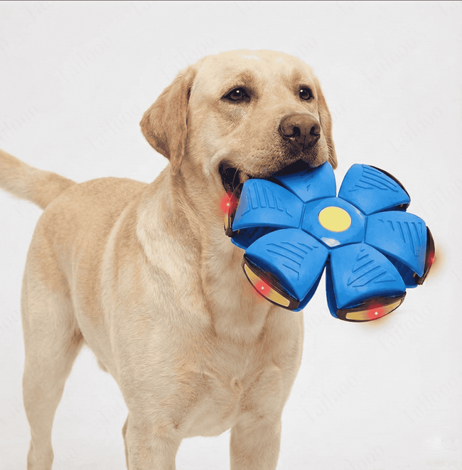 LED UFO Dog Toy Disc for Training & Night Play – Blue Main Image