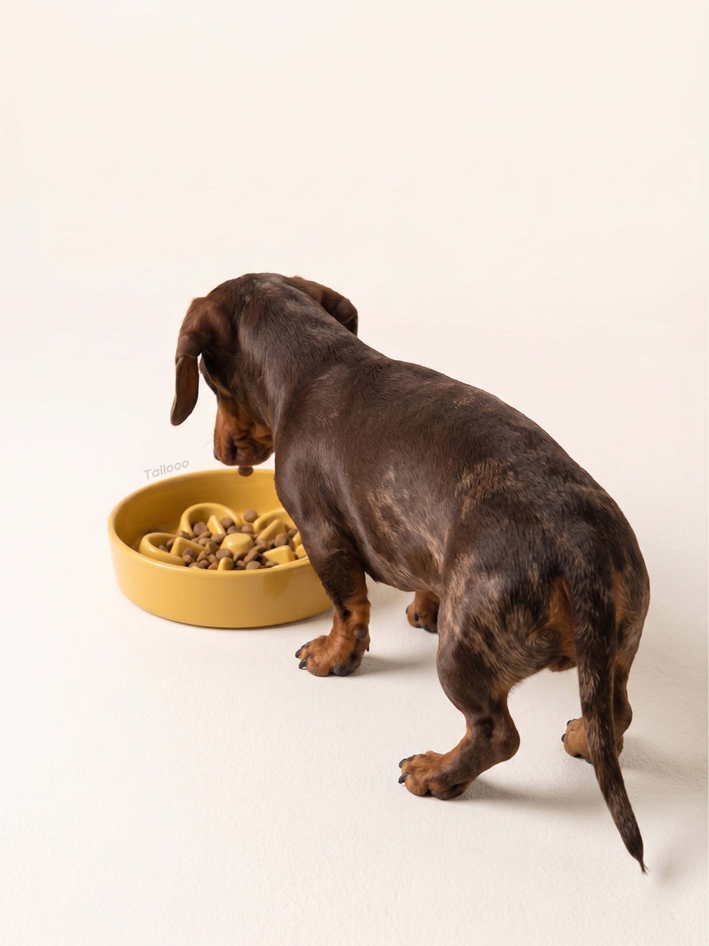 Back view of a dachshund eating from a yellow ceramic slow feeder dog bowl, highlighting the bowl's design.