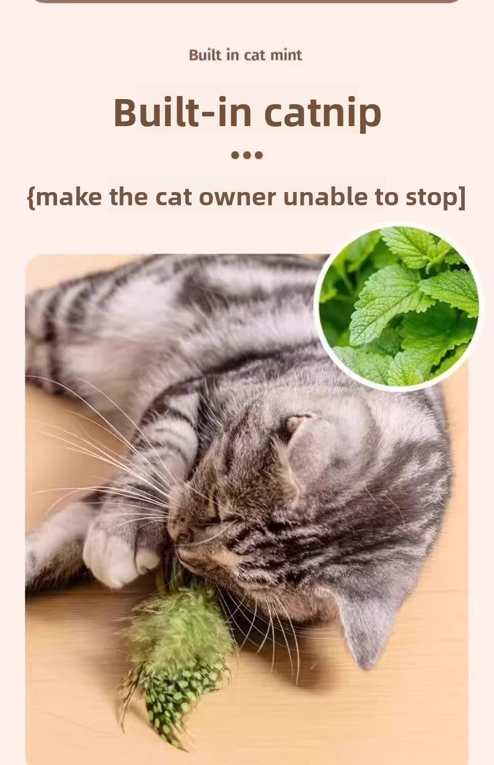 8c51c066-8761-42b0-ad9b-bbd805322098