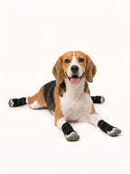 Happy beagle wearing anti-slip dog boots, durable dog snow boots for winter walks and everyday use.