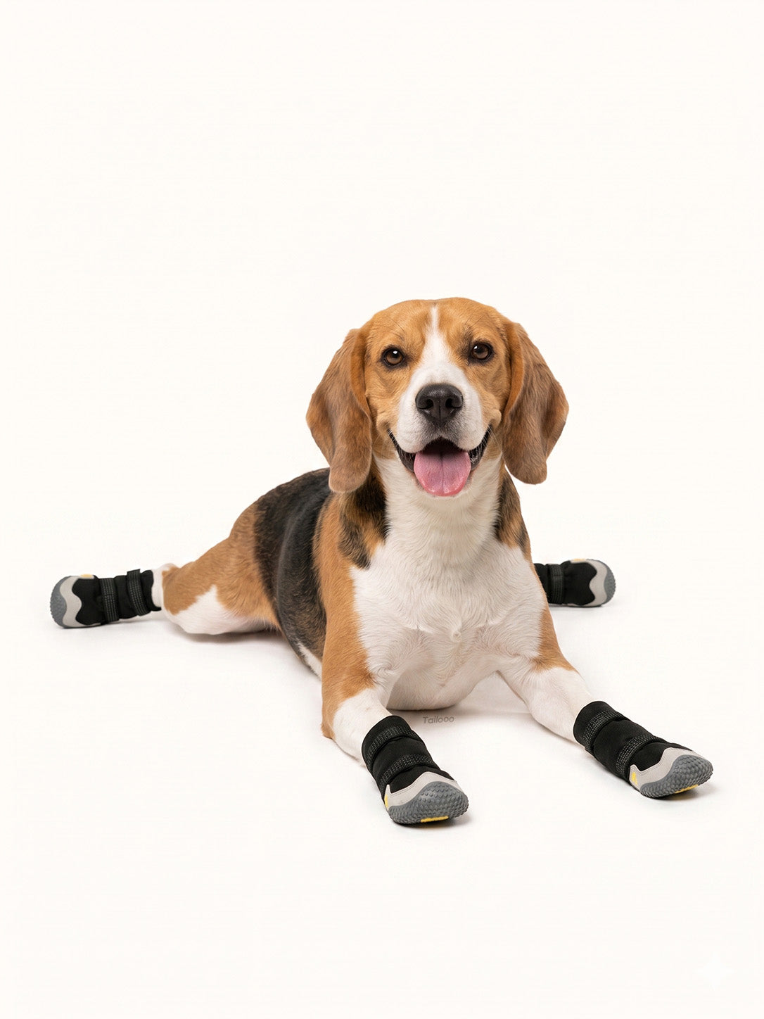 Happy beagle wearing anti-slip dog boots, durable dog snow boots for winter walks and everyday use.