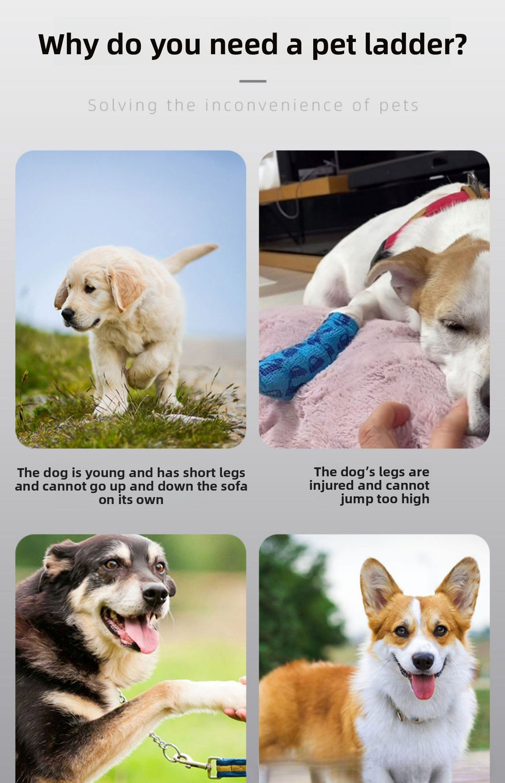 62f3764d-9a18-4618-8097-fe4df7e7d315