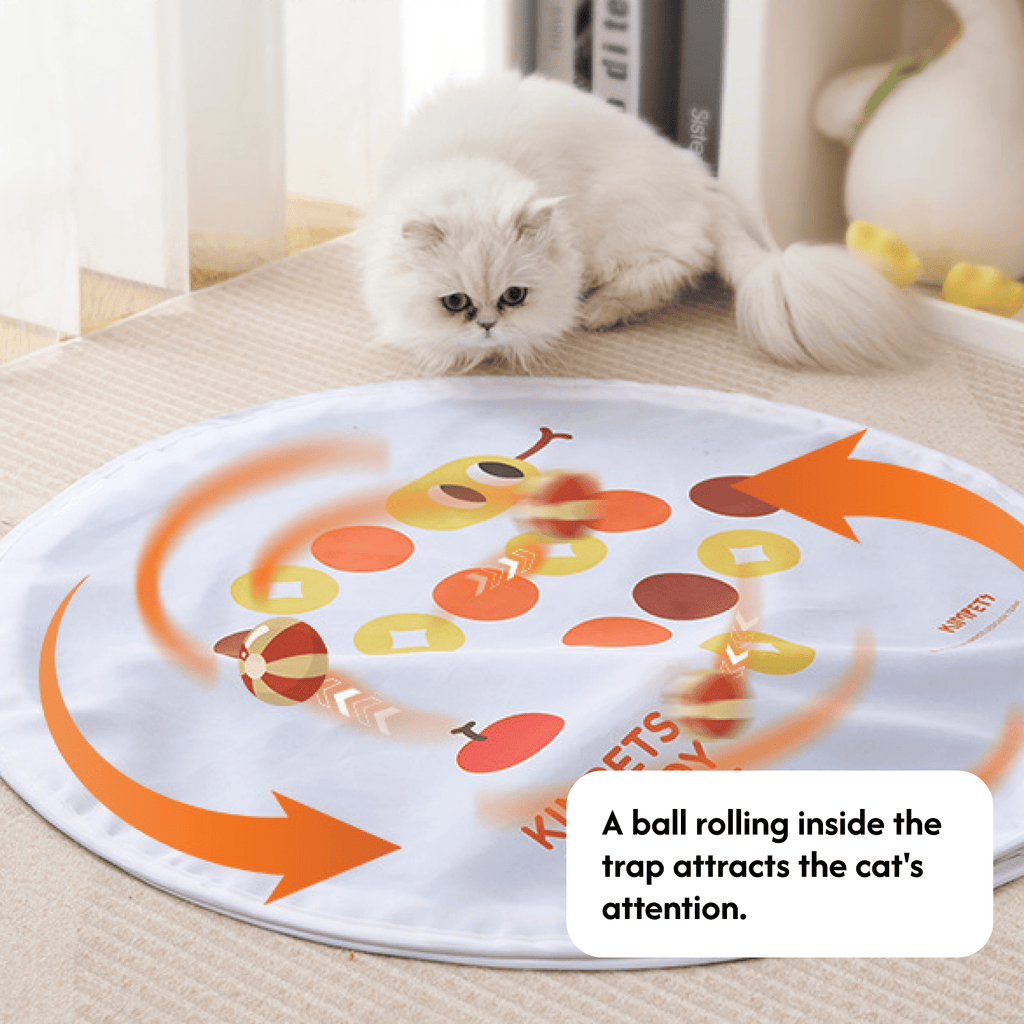 Interactive Self-Play Enclosed Electric Cat Hunting Ball Toy