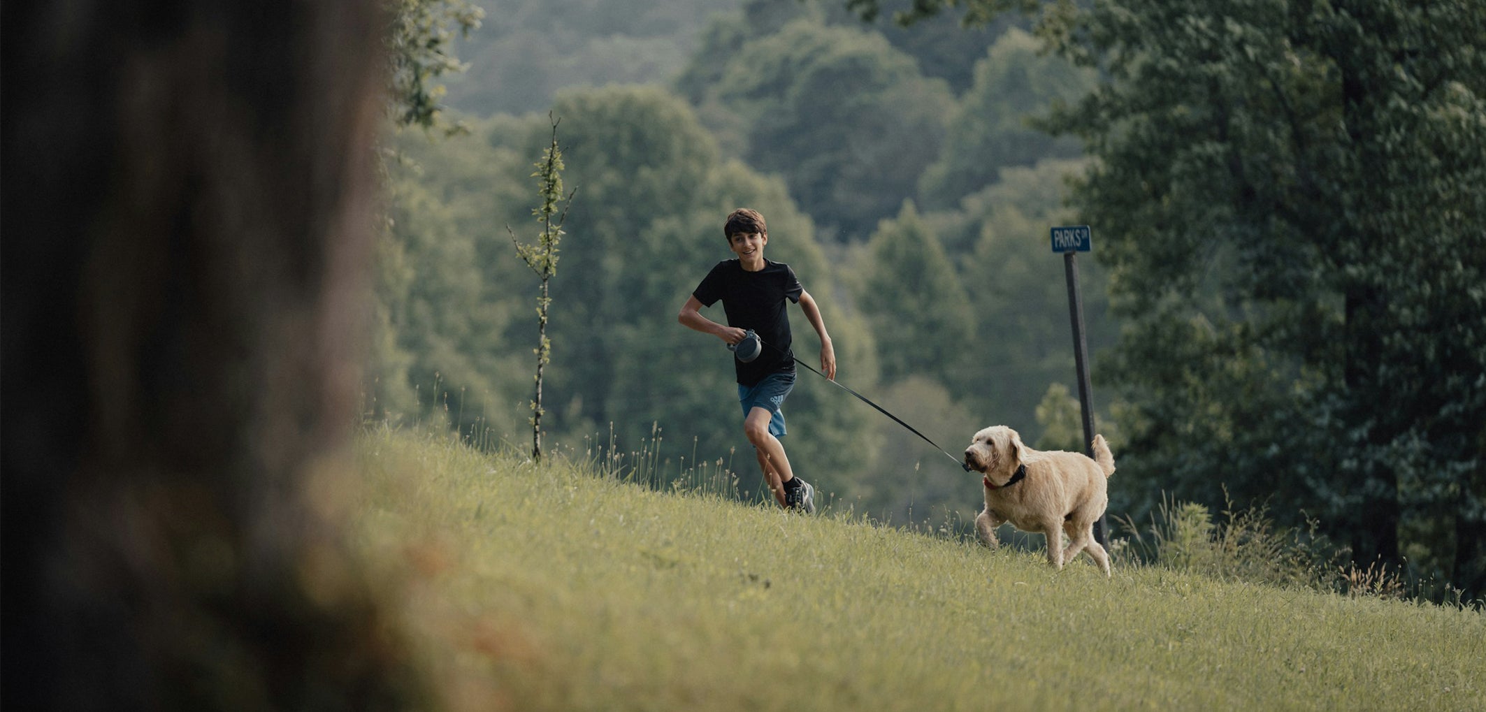 Boy and golden doodle dog running in a park with a retractable dog leash, enjoying a fun outdoor walk together.