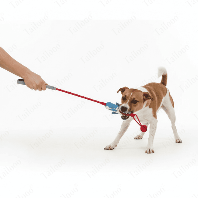 nteractive Squeaky Tug Rope Dog Toy Main Image