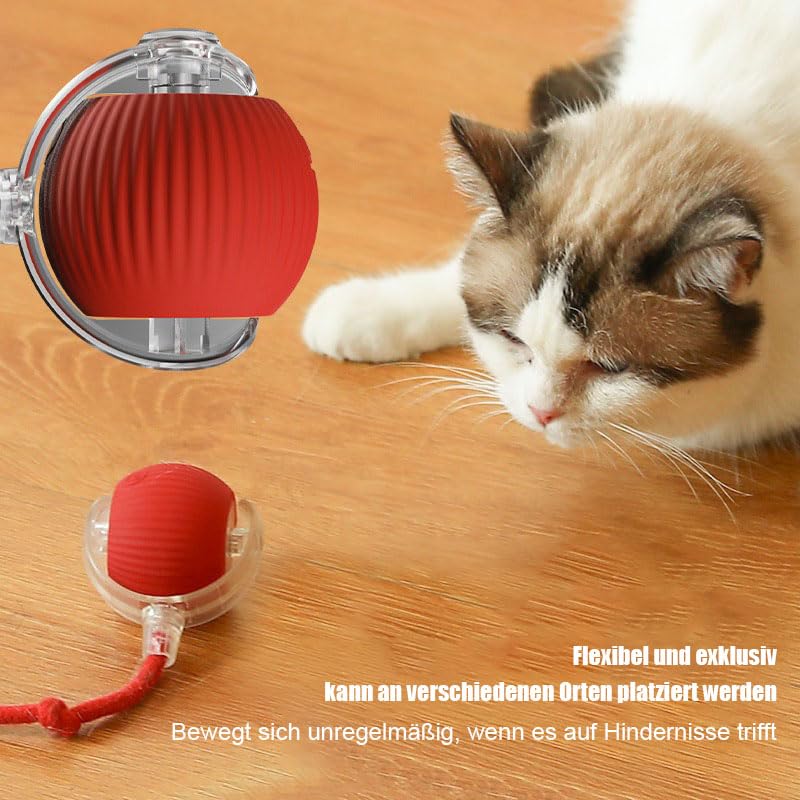 A hyper-focused kitten staring intently at a static active rolling ball toy with a distinct red LED light (low battery indicator) on a wooden floor, showcasing natural feline hunting instincts.